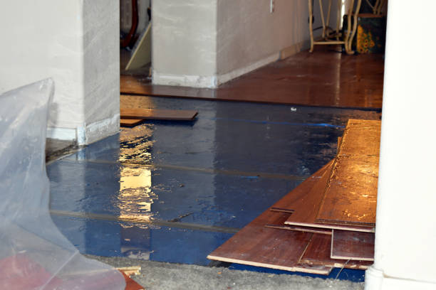 Professional Burst Pipe Cleanup technician working in Knoxville, IL